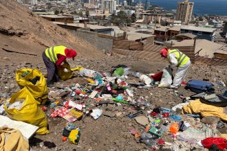 WhatsApp Image 2026-02-18 at 13.51.52.jpeg